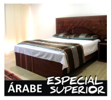 Árabe Especial Superior